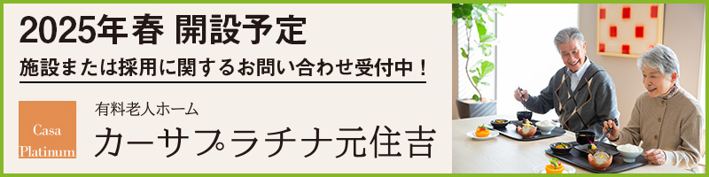 カーサプラチナ元住吉